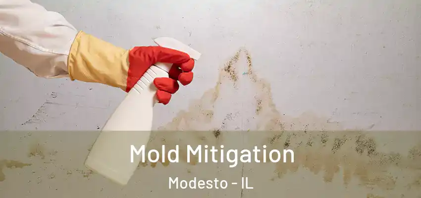  Mold Mitigation Modesto - IL