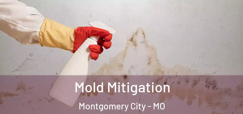 Mold Mitigation Montgomery City - MO