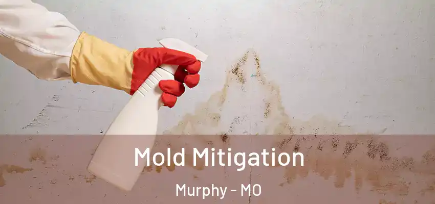 Mold Mitigation Murphy - MO