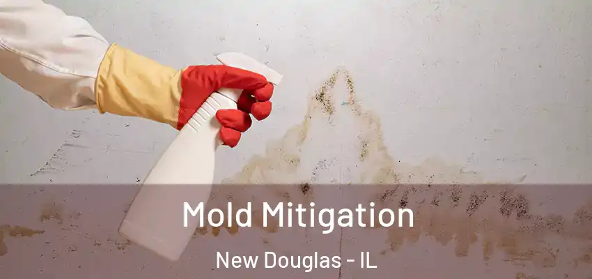  Mold Mitigation New Douglas - IL