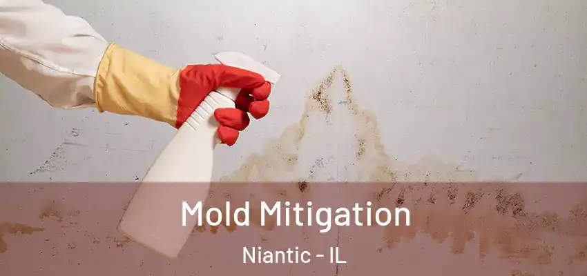 Mold Mitigation Niantic - IL