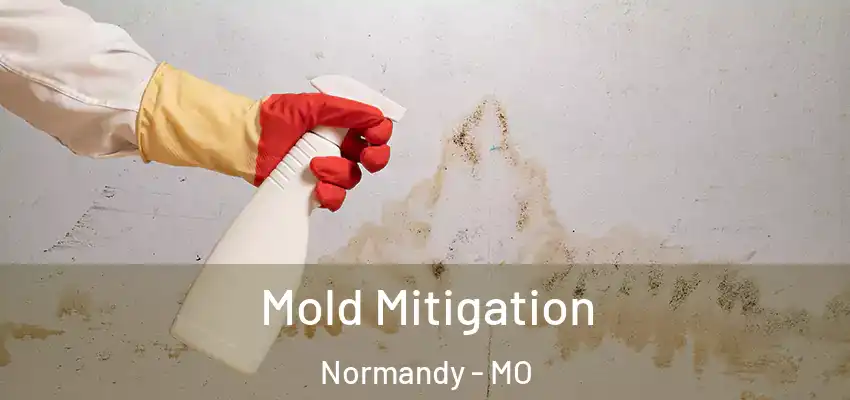 Mold Mitigation Normandy - MO