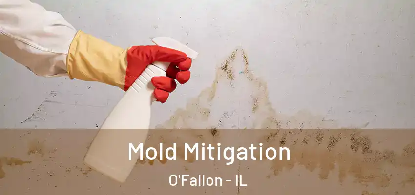  Mold Mitigation O'Fallon - IL