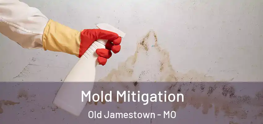  Mold Mitigation Old Jamestown - MO