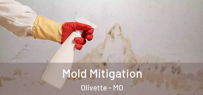 Mold Mitigation Olivette - MO