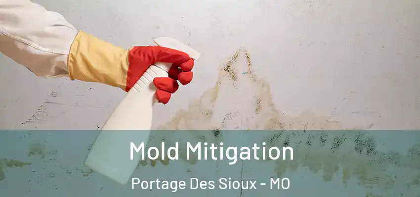  Mold Mitigation Portage Des Sioux - MO