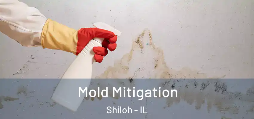  Mold Mitigation Shiloh - IL