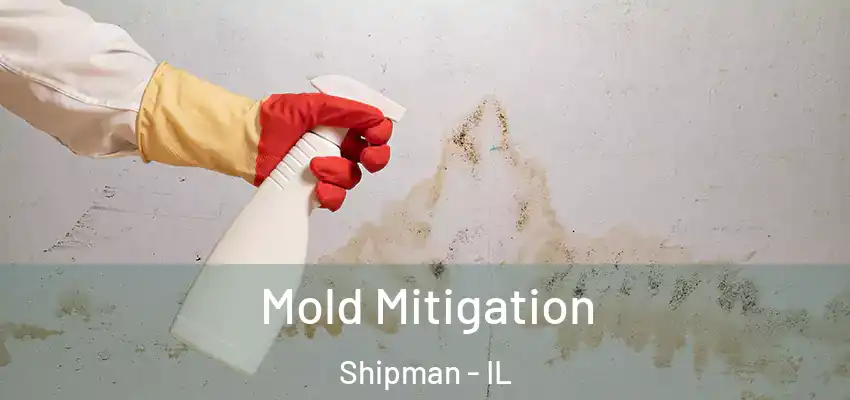  Mold Mitigation Shipman - IL