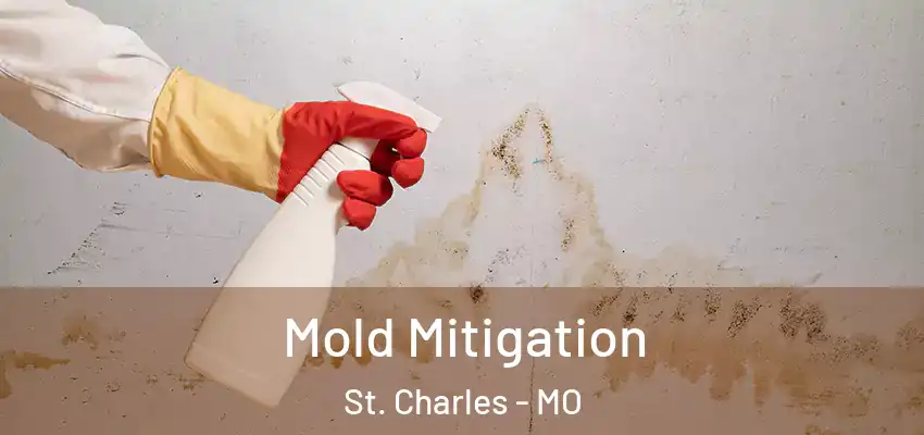 Mold Mitigation St. Charles - MO