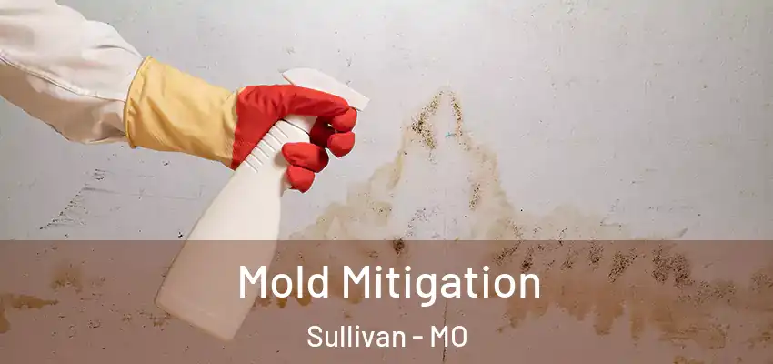 Mold Mitigation Sullivan - MO