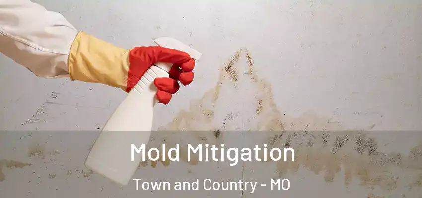  Mold Mitigation Town and Country - MO