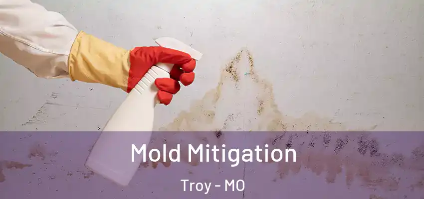 Mold Mitigation Troy - MO