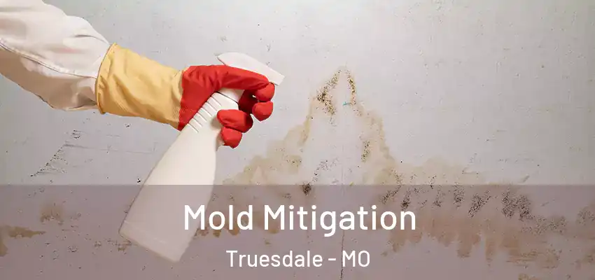  Mold Mitigation Truesdale - MO