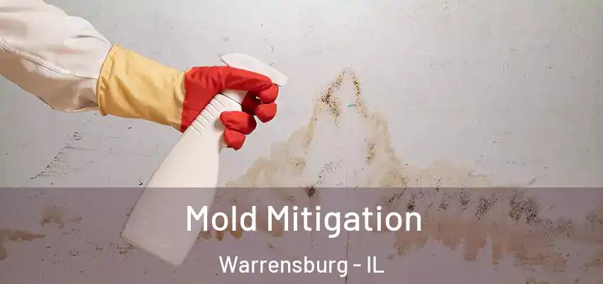  Mold Mitigation Warrensburg - IL