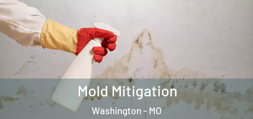 Mold Mitigation Washington - MO