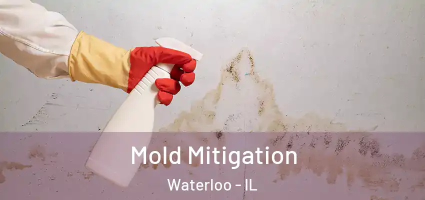 Mold Mitigation Waterloo - IL