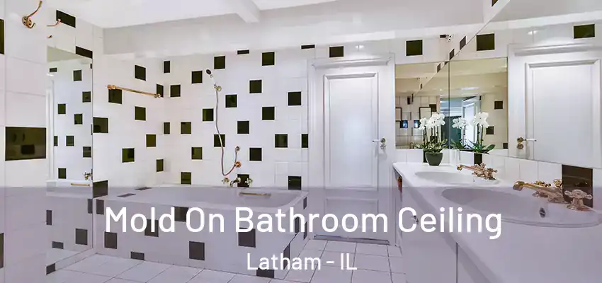  Mold On Bathroom Ceiling Latham - IL