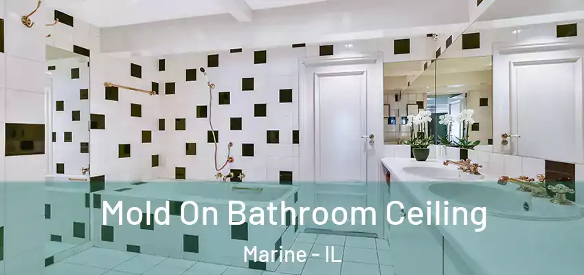  Mold On Bathroom Ceiling Marine - IL