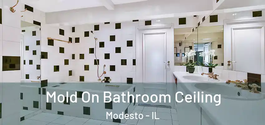  Mold On Bathroom Ceiling Modesto - IL
