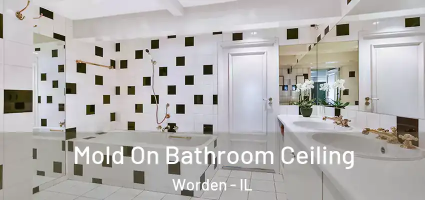  Mold On Bathroom Ceiling Worden - IL