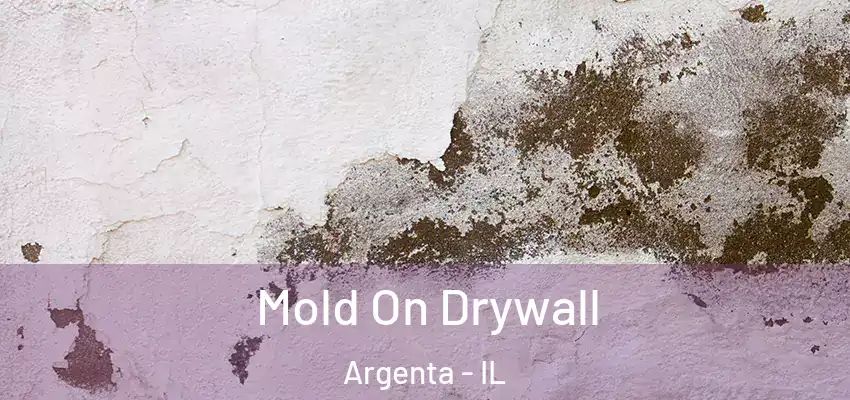  Mold On Drywall Argenta - IL
