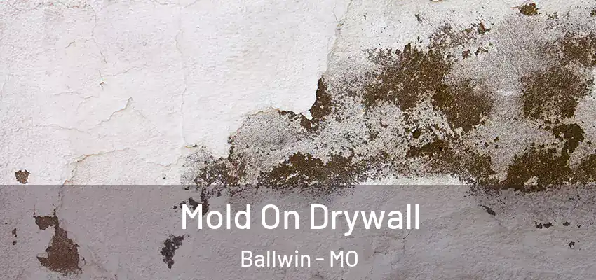 Mold On Drywall Ballwin - MO