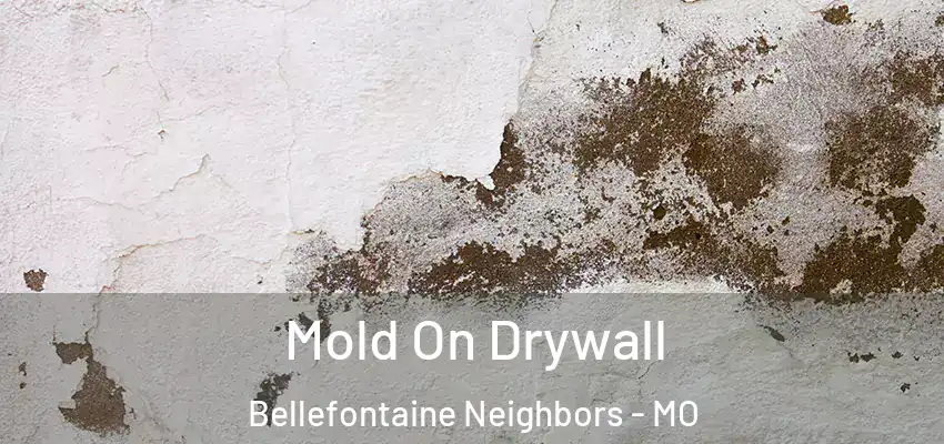  Mold On Drywall Bellefontaine Neighbors - MO