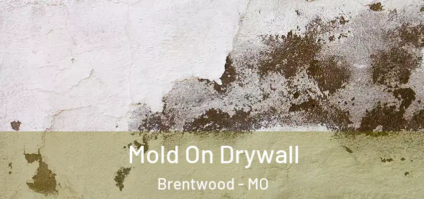  Mold On Drywall Brentwood - MO