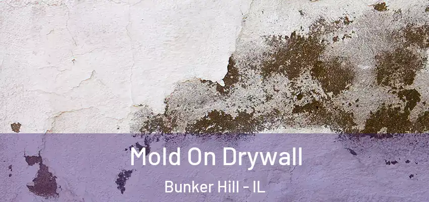  Mold On Drywall Bunker Hill - IL