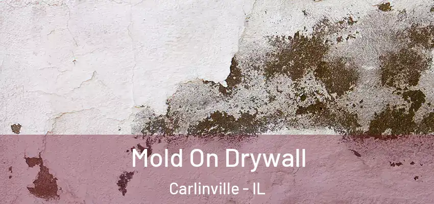  Mold On Drywall Carlinville - IL