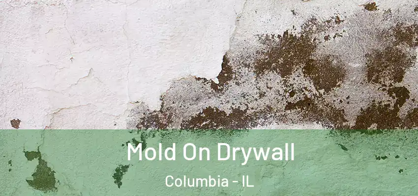  Mold On Drywall Columbia - IL