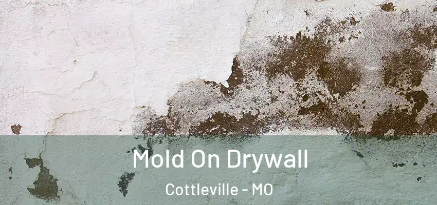  Mold On Drywall Cottleville - MO