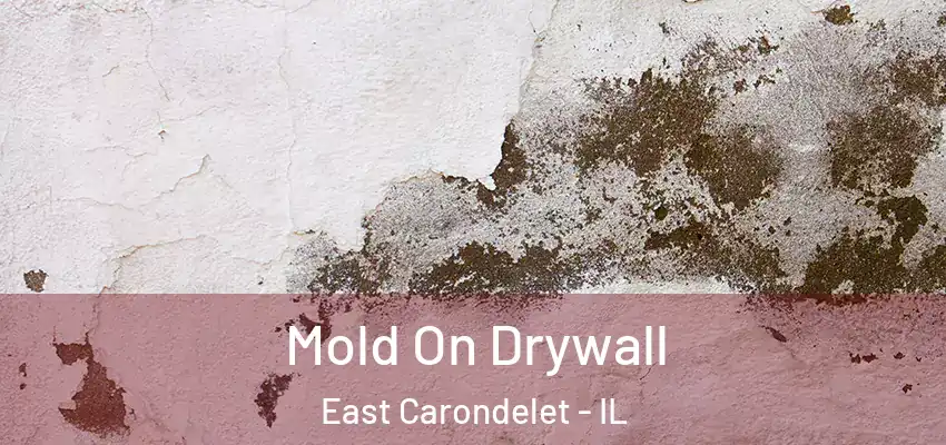  Mold On Drywall East Carondelet - IL