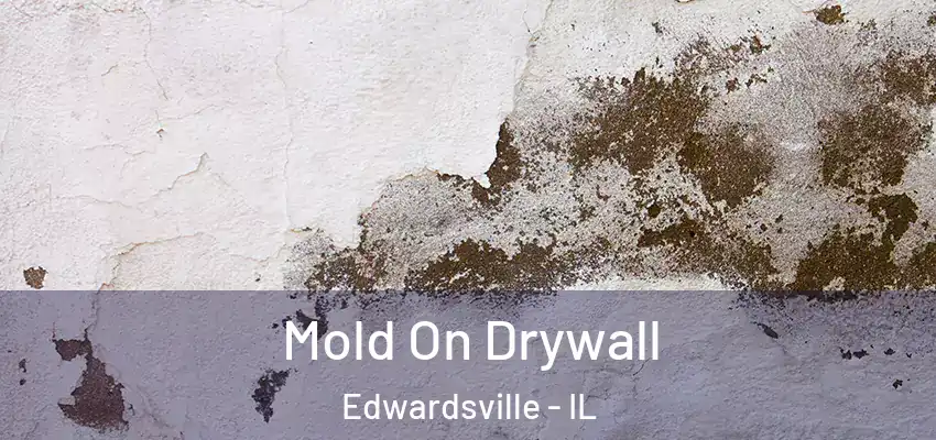  Mold On Drywall Edwardsville - IL