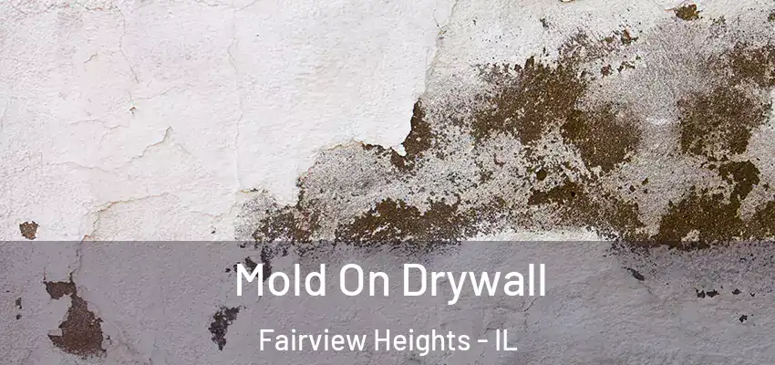  Mold On Drywall Fairview Heights - IL