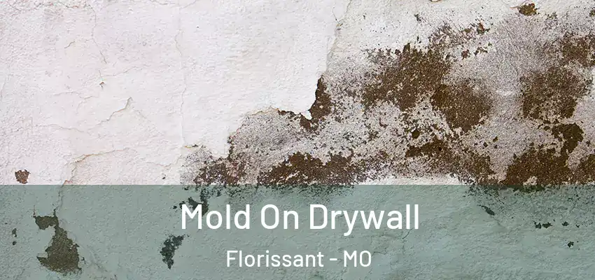  Mold On Drywall Florissant - MO