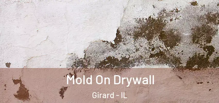  Mold On Drywall Girard - IL
