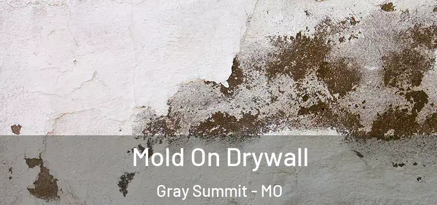  Mold On Drywall Gray Summit - MO