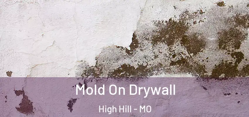  Mold On Drywall High Hill - MO
