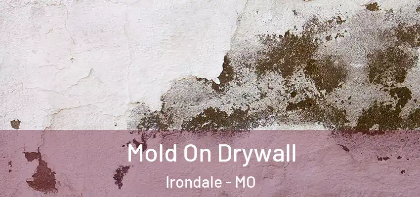  Mold On Drywall Irondale - MO