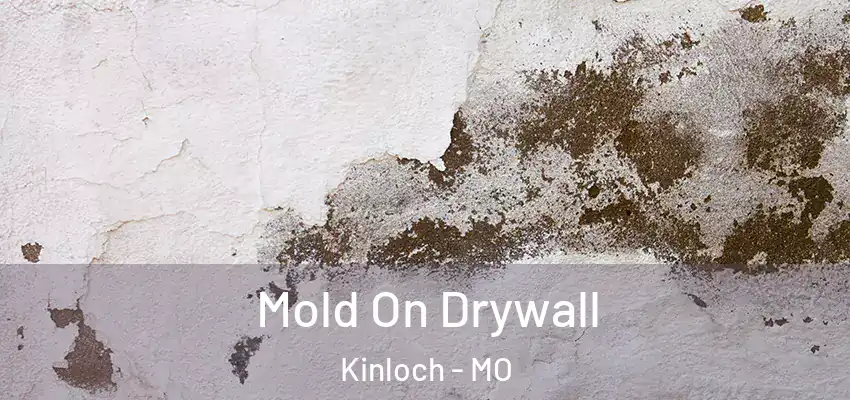  Mold On Drywall Kinloch - MO