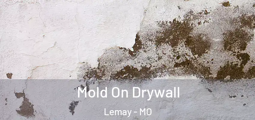  Mold On Drywall Lemay - MO