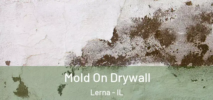  Mold On Drywall Lerna - IL