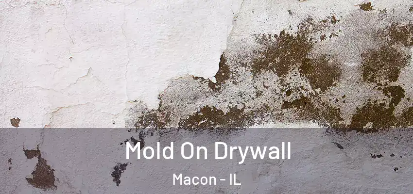 Mold On Drywall Macon - IL