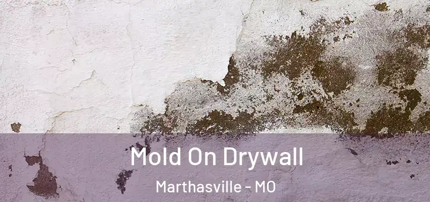  Mold On Drywall Marthasville - MO
