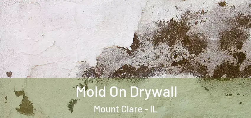 Mold On Drywall Mount Clare - IL