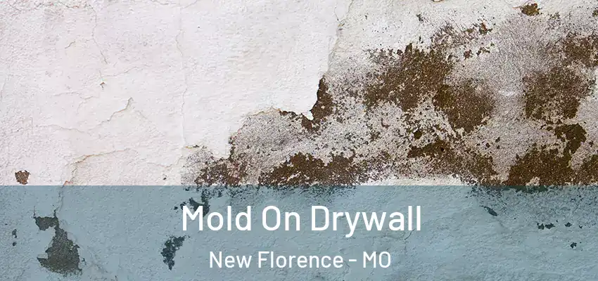  Mold On Drywall New Florence - MO