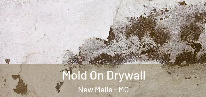  Mold On Drywall New Melle - MO