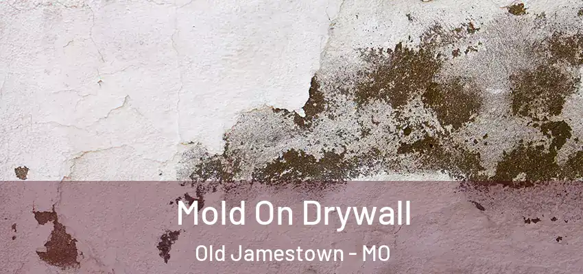  Mold On Drywall Old Jamestown - MO