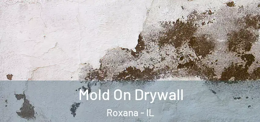  Mold On Drywall Roxana - IL